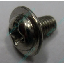 Компьютерный винт "малый" PW-M3x6mm (Тюмень)