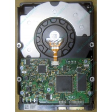 HDD Sun 500G 500Gb в Тюмени, FRU 540-7889-01 в Тюмени, BASE 390-0383-04 в Тюмени, AssyID 0069FMT-1010 в Тюмени, HUA7250SBSUN500G (Тюмень)