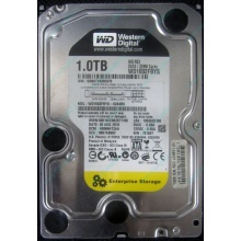 НЕРАБОЧИЙ жесткий диск 1Tb WD RE3 WD1002FBYS 32Mb cache SATA (Тюмень)
