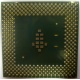 Процессор Intel Celeron 1000A SL5ZF (1000MHz /256kb /100MHz /1.475 V) s370 (Тюмень)
