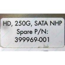 HP 250G 7.2k 432337-001/ 399699-001 / 397377-004 SATA HDD (Тюмень)