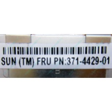 Серверная память SUN (FRU PN 371-4429-01) 4096Mb (4Gb) DDR3 ECC в Тюмени, память для сервера SUN FRU P/N 371-4429-01 (Тюмень)