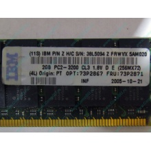 IBM 73P2871 73P2867 2Gb (2048Mb) DDR2 ECC Reg memory (Тюмень)
