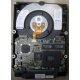 Жесткий диск 18.2Gb IBM Ultrastar DDYS-T18350 Ultra3 SCSI (Тюмень)