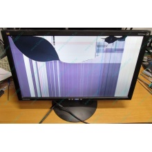 ViewSonic VA2413WM-2 разбитая матрица (Тюмень)