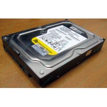 Жесткий диск 160Gb WD WD1602ABKS SATA (Тюмень)