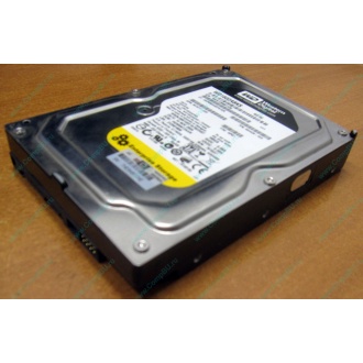 Жесткий диск 160Gb WD WD1602ABKS SATA (Тюмень)