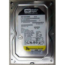 Жесткий диск 160Gb WD WD1602ABKS SATA (Тюмень)