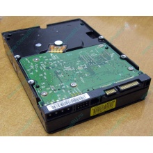 Б/У жёсткий диск 400Gb WD WD4000YR Caviar RE2 7200 rpm SATA  (Тюмень)