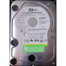 Жесткий диск 500Gb Western Digital WD5000AVVS 5400 rpm SATA (Тюмень)