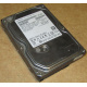 HDD 500Gb Hitachi HDS721050DLE630 донор на запчасти (Тюмень)