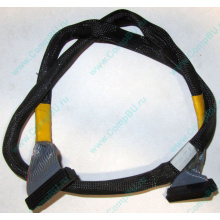 Кабель SCSI HP 166298-037 для ML370 (Тюмень)