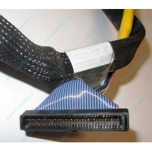 Кабель SCSI HP 166298-037 для HP ML370 G4 (Тюмень)