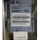 Жёсткий диск 146.8Gb HP 365695-008 404708-001 BD14689BB9 256716-B22 MAW3147NC 10000 rpm Ultra320 Wide SCSI купить в Тюмени, цена (Тюмень).