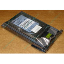 Жёсткий диск 146.8Gb HP 365695-008 404708-001 BD14689BB9 256716-B22 MAW3147NC 10000 rpm Ultra320 Wide SCSI купить в Тюмени, цена (Тюмень).
