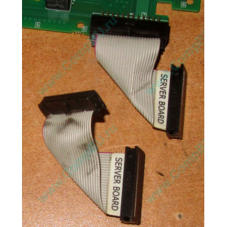 6017B0045701 Шлейф 24 pin для Intel C74974-401 T0043401-B01 корпуса SR2400 (Тюмень)