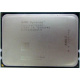 AMD Opteron 6128 OS6128WKT8EGO (Тюмень)