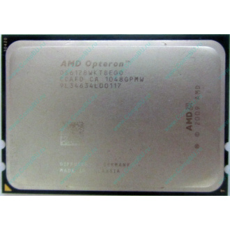 AMD Opteron 6128 OS6128WKT8EGO (Тюмень)