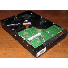 Жесткий диск 500Gb WD WD5000AAKX HP 634605-003 613208-001 7.2k SATA (Тюмень)