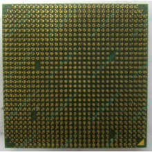 Процессор AMD Sempron 3000+ (1.6GHz) SDA3000IAA3CN s.AM2 (Тюмень)